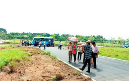 Nhu cầu tìm kiếm bất động sản trên cả nước tăng đột biến