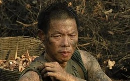 Thái Hòa được cứu