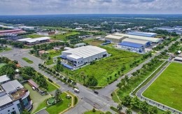 Chính phủ quyết định giảm 30% tiền thuê đất cho người dân, doanh nghiệp