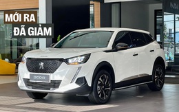 Loạt xe mới ra mắt Việt Nam năm nay đã giảm giá: Carnival hybrid dưới 1,8 tỷ, 2008 còn hơn 680 triệu cạnh tranh Xforce