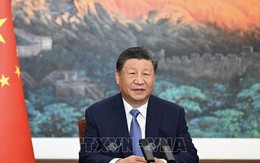 Bài viết của Tổng Bí thư, Chủ tịch Trung Quốc Tập Cận Bình về quan hệ hữu nghị Việt Nam - Trung Quốc