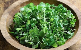 Một loại rau của Việt Nam được Mỹ đánh giá là tốt nhất thế giới: Chống được cả ung thư, tốt cho tim mạch, lại giàu collagen vô cùng!