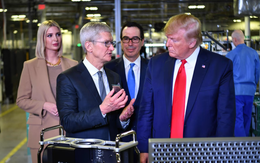 Chuyển cả "thành phố iPhone" từ Trung Quốc sang Việt Nam có phải lựa chọn tốt của Tim Cook lúc này?