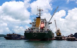 Lãi 1-2 tỷ/năm, công ty đại lý tàu biển được rao bán  giá 336.000 đồng/cp