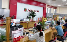 Agribank cảnh báo: Kẻ lừa đảo có thể chiếm đoạt tiền trong tài khoản người dùng bằng 2 cách sau, cần đặc biệt lưu ý tránh thiệt hại