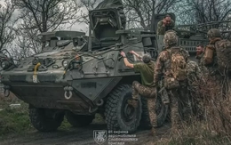 Thiết giáp Stryker bất ngờ xuất hiện trong biên chế Lữ đoàn Dù 81