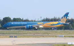 Ấn tượng hình ảnh Chim Lạc trên máy bay Vietnam Airlines đến/đi từ Tân Sơn Nhất