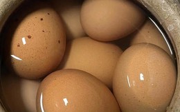 Trứng to hay trứng nhỏ tốt cho sức khỏe hơn? Nhà nông tiết lộ điều bất ngờ