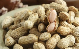 Nhai loại hạt này vào buổi sáng và trước khi ngủ giúp bổ gan, tốt cho sức khỏe