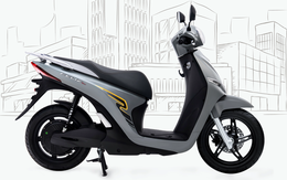 5 xe điện VinFast đời mới bất ngờ lộ diện: Chỉ bán kèm pin nhưng giá thấp hơn, có mẫu giảm trên 10 triệu