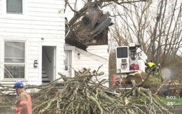 Cây đổ vào nhà, nam thanh niên 21 tuổi tử vong khi đang ngủ