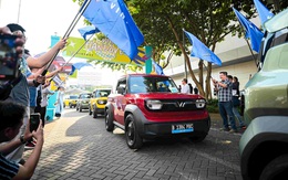 Bất ngờ doanh số "gà đẻ trứng vàng" của VinFast tại thị trường hơn 280 triệu dân