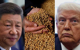 Thương chiến lan đến nông nghiệp, Trung Quốc dừng hoàn toàn nhập khẩu mặt hàng then chốt của Mỹ: Nông dân bắt đầu cảm nhận được căng thẳng