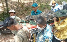 Một người dân tử vong khi ngủ qua đêm trong rừng ở Quảng Bình