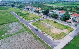 Đất đấu giá Chương Mỹ cao nhất 115 triệu/m², môi giới bán chênh 50 triệu đồng/lô