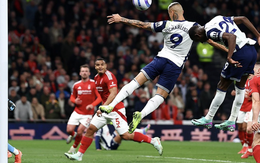 Trắng tay sân nhà, Tottenham may mắn trụ hạng