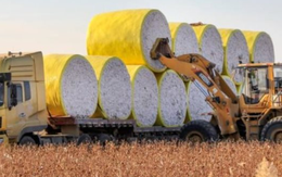 Trung Quốc siết nhập khẩu từ Mỹ: Nhiều mặt hàng chủ lực giảm tới 90%, có sản phẩm về 0