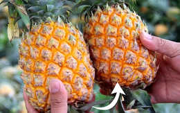 Mua dứa không cần sờ tận tay, chỉ cần nhìn đúng 5 điểm là bạn sẽ chọn được quả "ngọt tận tim"