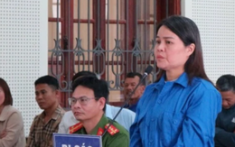 Nữ luật sư rởm lừa chạy án cho hàng chục người, chiếm đoạt gần 7 tỷ đồng