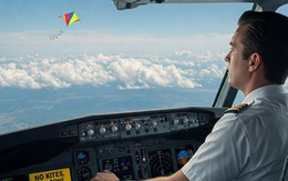 Phi công bất ngờ phát hiện diều khi hạ cánh xuống Nội Bài