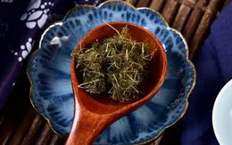 Loại cây mọc dại, đem phơi khô quý như "nhân sâm người nghèo", ít ai biết tới