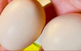 2 cách bảo quản trứng không cần tủ lạnh, để cả tháng vẫn tươi