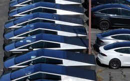 Chuyện gì đây: Vốn hoá Tesla bốc hơi 800 tỷ USD, rơi vào 'báo động đỏ', nhà đầu tư khẩn cấp yêu cầu Elon Musk làm ngay một việc