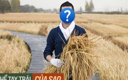 Từ ngôi sao được săn đón, nam thần đình đám "bỏ phố về quê" làm nông dân nâng khối tài sản lên hàng trăm tỷ đồng