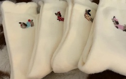 Giá rẻ "sập sàn" cũng đừng mua 4 loại tất này, "tất độc" đeo vào cực hại sức khỏe