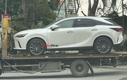 Lexus RX 350h 2025 đã về Việt Nam: Tinh ý mới thấy điểm khác bản xăng, dễ thêm công nghệ, máy tiết kiệm xăng cạnh tranh X5, Q7