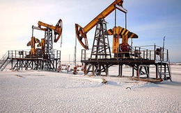 Gió đảo chiều, dầu Nga lại ồ ạt chảy sang Trung Quốc, Ấn Độ