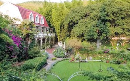 Người đàn ông 68 tuổi thuê mảnh đất 5.000m2 để nghỉ hưu, chi hơn 35 triệu đồng xây khu vườn được tạp chí Mỹ ca ngợi