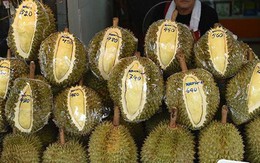 Thêm một đối thủ của sầu riêng Việt Nam và Thái Lan gia nhập Trung Quốc: giá cao hơn 20%, sản lượng 36.000 tấn mỗi năm