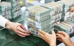 Tinh gọn bộ máy, ngân hàng trả cổ tức bằng tiền mặt cao nhất Việt Nam “lãi khủng” hơn 12.000 tỷ đồng