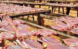 Một ‘mỏ vàng’ của Việt Nam được Mỹ, Trung Quốc đua nhau săn lùng: Thu về hơn 400 triệu USD kể từ đầu năm, gần 2/3 thế giới đã ‘chốt đơn’