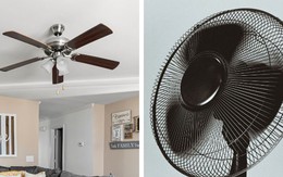 Dùng quạt trần hay quạt cây tốn điện hơn, đây là câu trả lời