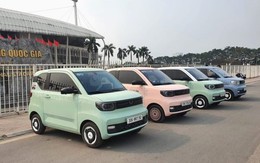 Công ty bán xe điện Trung Quốc giá rẻ chỉ từ 150 triệu đồng muốn tự xây ít nhất 30.000 trạm sạc tương đương 60.000 súng sạc tại Việt Nam