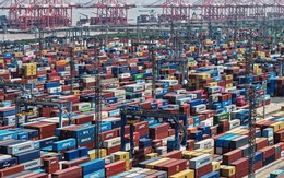 ‘Bom hàng' tầm quốc tế: Trung Quốc dừng nhập hàng loạt mặt hàng quan trọng do thuế quan, nông dân Mỹ lập tức điêu đứng