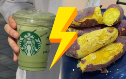 So sánh 1 ly trà sữa ở Starbucks với 4kg khoai lang: Màn đáp trả được đồng tình GẤP 3 LẦN bài gốc!