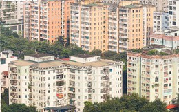 ‘Tuyệt vọng’ mua nhà Hà Nội, tôi về quê xây nhà to như lâu đài