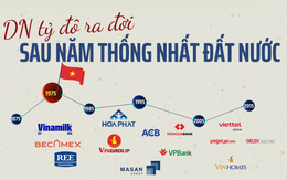 50 năm thống nhất đất nước: Việt Nam 'hóa rồng' thành nền kinh tế lớn thứ 4 Đông Nam Á và sự trỗi dậy của 40+ doanh nghiệp tỷ đô