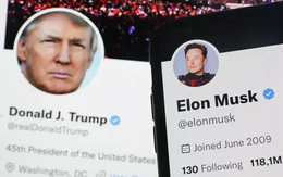 Tương lai của Elon Musk sau khi rời chính phủ vài tháng tới