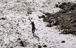 Một lon Coca-Cola do du khách để lại có thể xoá sổ cả một bộ lạc