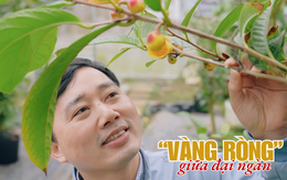 Bỏ việc lương cao đi trồng thứ 'vàng ròng' Việt Nam nhiều gấp 6 lần Trung Quốc, 15 triệu đồng 1 kilogram