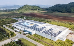 Hai công ty sản xuất chủ lực của Tập đoàn TH vừa được 1 tổ chức quốc tế uy tín chứng nhận trung hòa carbon