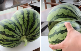 Cô gái háo hức bổ quả dưa hấu "sinh đôi" to gấp 2 lần bình thường, nhìn kết quả lại thấy "cô đơn" vô cùng