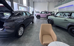 Ô tô điện có cơ hội chiếm lĩnh "sân nhà"