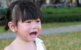 Bé gái mầm non đi học về nói: "Ngày nào cũng có người cho con kẹo", mẹ âm thầm theo dõi thì bật khóc vì 1 cảnh tượng
