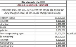 Bảng sao kê có vị chua và chát: Chu cấp cho bé yêu gần 250 triệu/tháng, anh trai ly hôn vợ nhận cái kết phũ