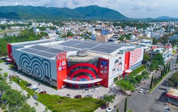 Big C, Go!, Nguyễn Kim... đi lùi với doanh thu hơn 32.500 tỷ đồng, dâng 'ngôi vương' bán lẻ 2024 cho Bách Hóa Xanh, đại gia Thái Lan than 'khắc nghiệt'